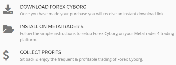 Forex Cyborg Robot process