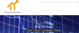 FX Trade Options Binary Options