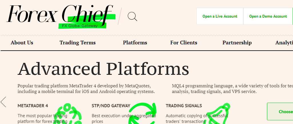 Forex Broker ForexChief