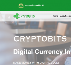 Cryptobits