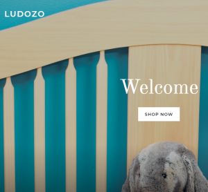 Ludozo Online Store
