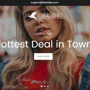 Dealiqlo Online Store