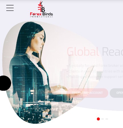 Forexbirds landing page