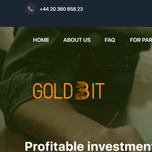 Goldbit Reviews