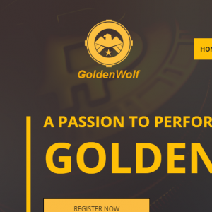 Goldenwolf Reviews