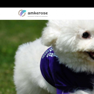 Amkerosene.com Reviews