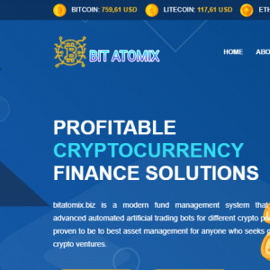 Bitatomix reviews