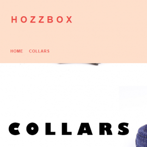 Hozzbox.com reviews
