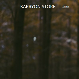 Karryon.store reviews