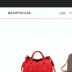 Bearfocuse reviews