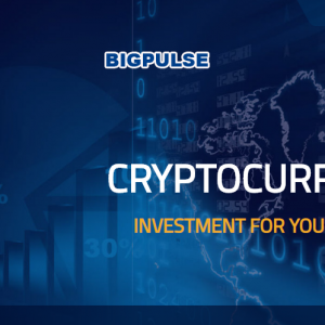 Bigpulse reviews