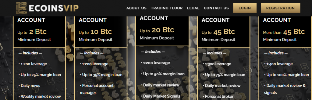 Ecoinsvip Account types