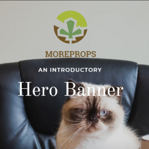 Moreprops reviews