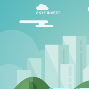 Skyeinvest reviews