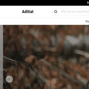 Aditiat reviews