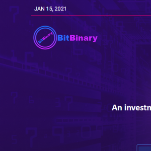 Bitbinary reviews