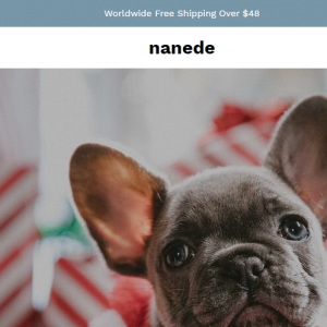 Nanede reviews