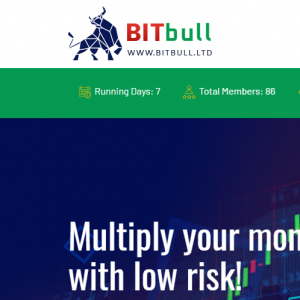 Bitbull reviews