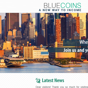 Bluecoins reviews