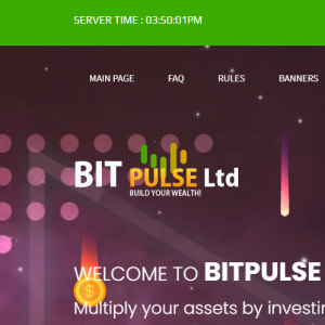 Bitpulse Review