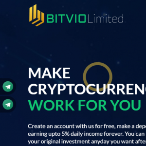 Bitvio Review