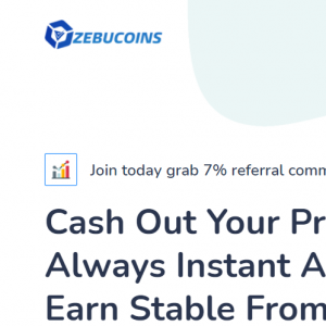 Zebucoins Review