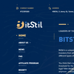 Bitstil Review