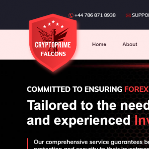 Cryptoprimefalcons Review