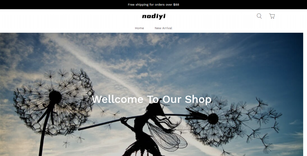 Nodiyi Shop Review