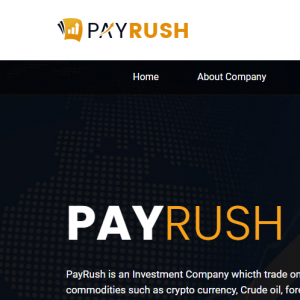 Payrush Review