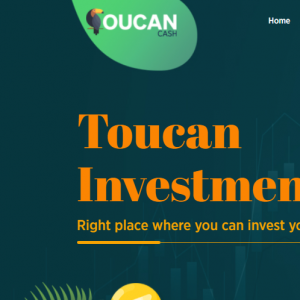 Toucan Review