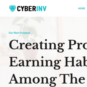 Cyberinv Review