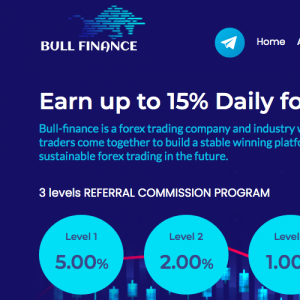 Bull-finance Review