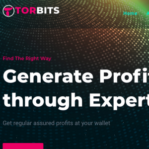 Torbits Review