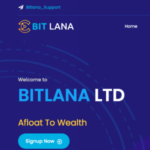 Bitlana Review