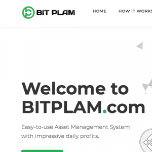 Bitplam Review