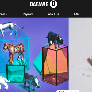 Datawestw Reviews