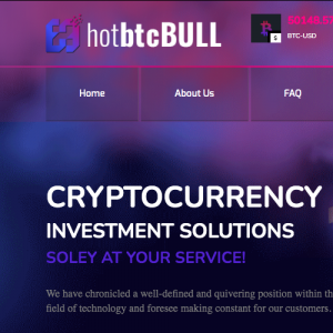 Hotbtcbull Review