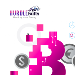 Hurdlebulls Review
