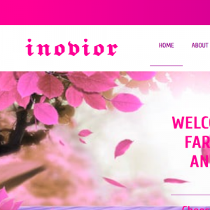 Inovior Review