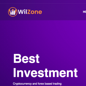 Wilzone Review