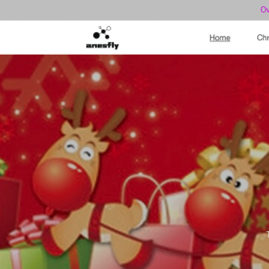 Anesfly Review