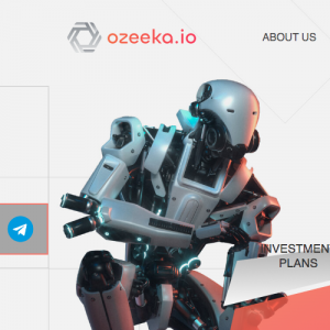 Ozeeka Review