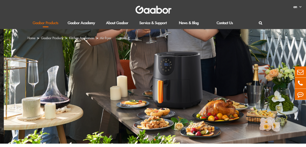 Gaabor Air Fryer Review