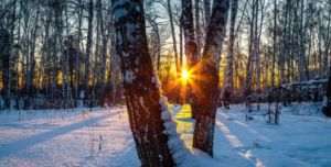 winter solstice